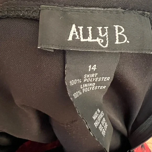 Ally B two piece party piece are